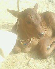 My prince