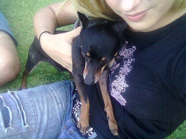 My Dog