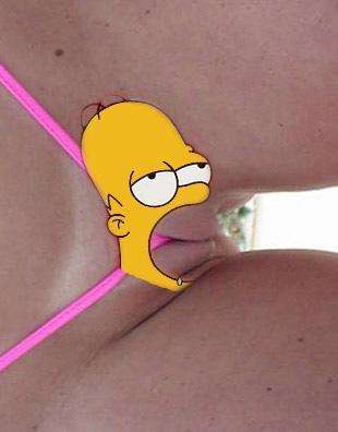 homer pmp