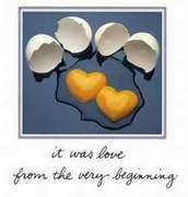 Eggs15