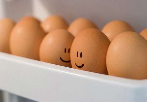 egg9