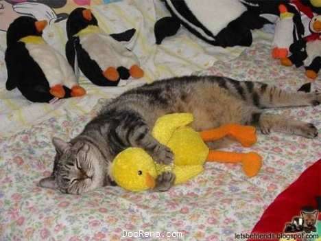 hugz