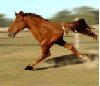 2 legged horse