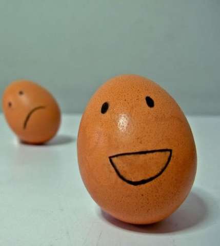 egg12
