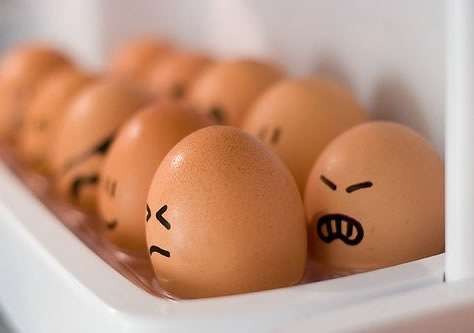egg10