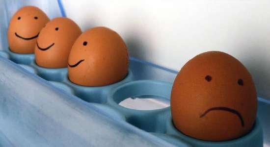 egg8