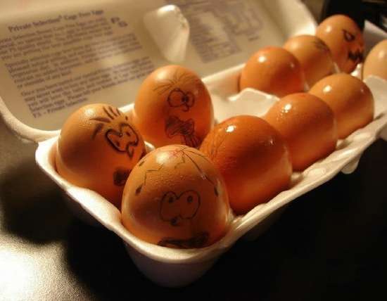 egg1