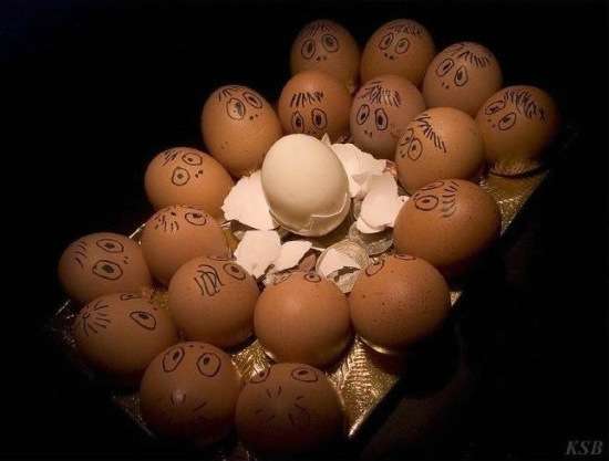 egg3