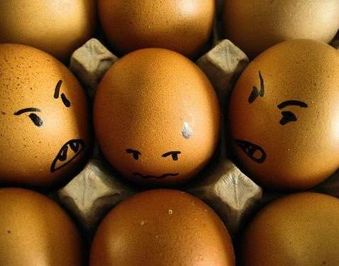 egg6