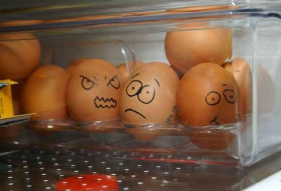 egg2