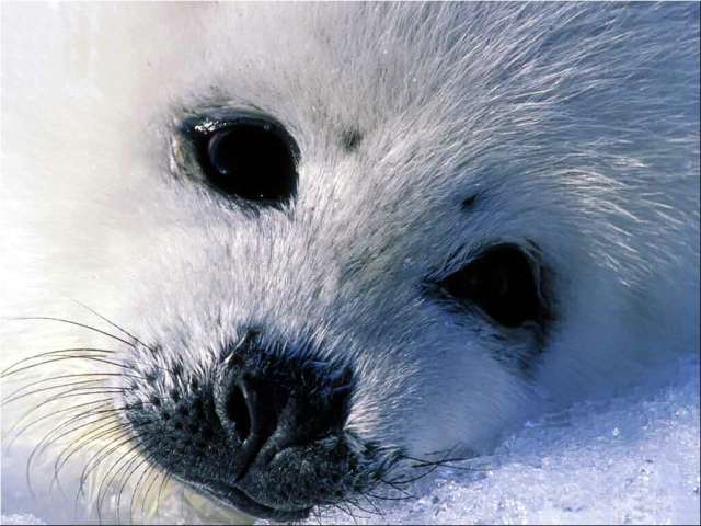 oh cute!