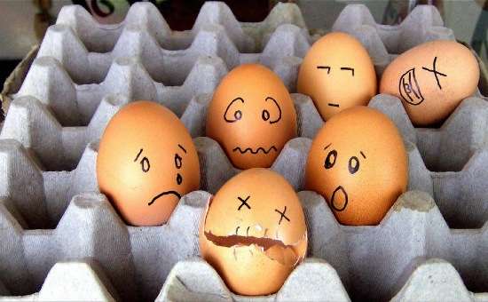 egg14