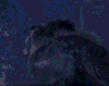 bite me (gif)