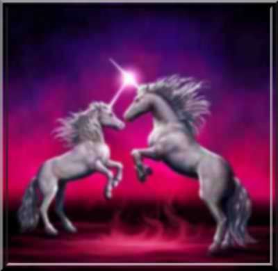 unicorn d