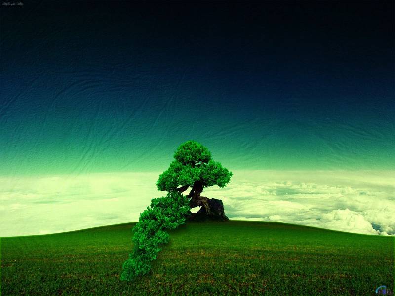 nature_92