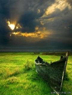 See natur