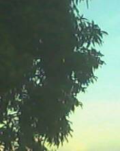 Spot the 