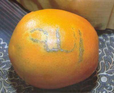 Orange with the name of allah