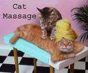 cat massa