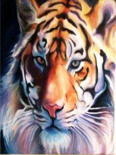 tiger