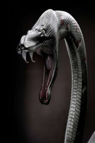snake