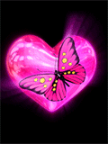 butterfly heart