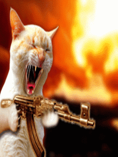 Terminator Cat