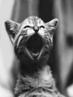 HAHAHA!!!Gosh u r funny!!!