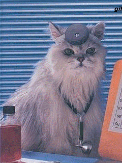 Doctor. Kitty