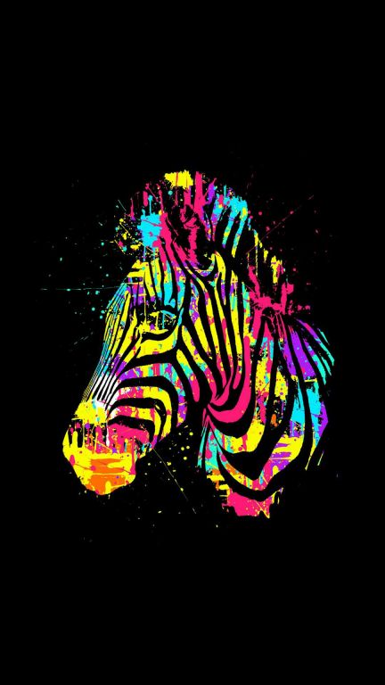 Colorful Zebra