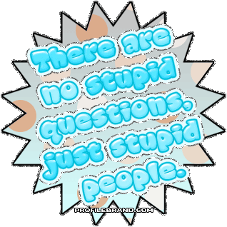 there are no stupid questions just stupid people