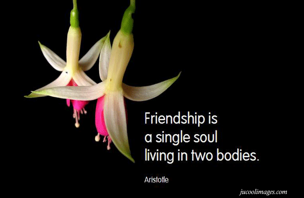 Frndship