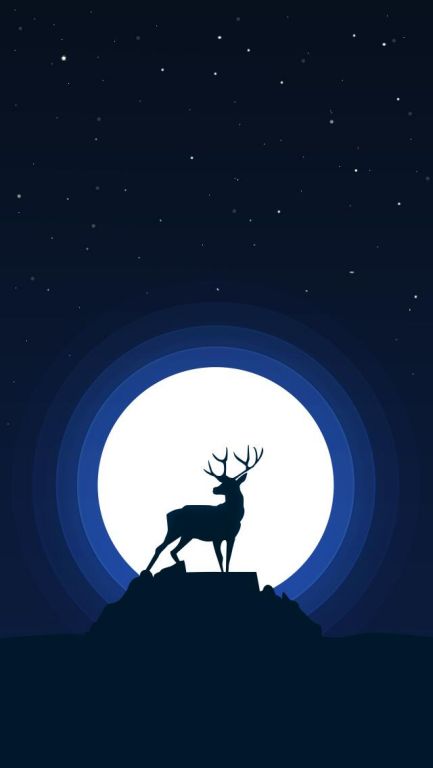 Rein Deer/Stag/I Don't Know