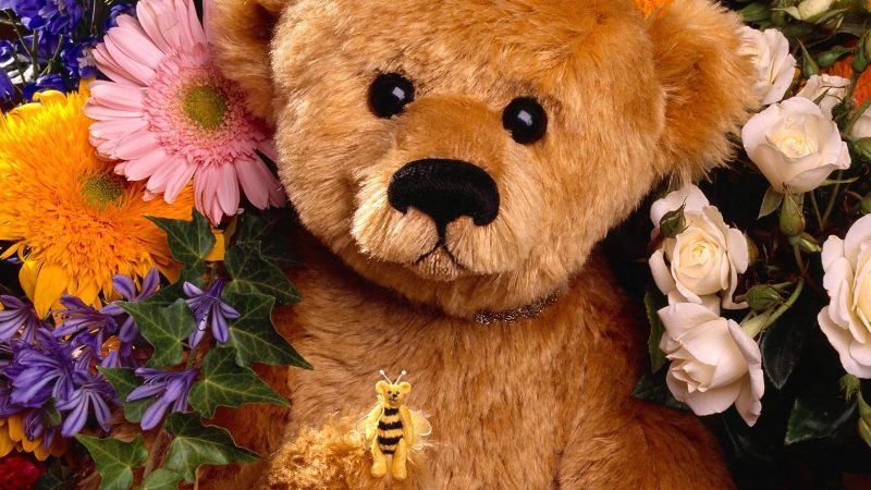 teddy with flowers