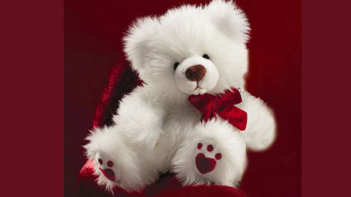 Cute white teddy