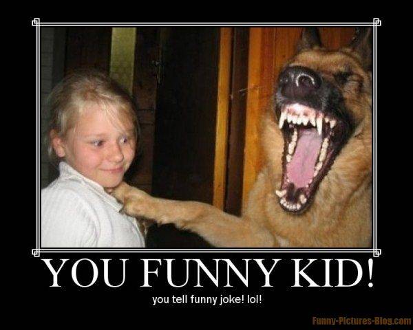 kid tells a dog a joke