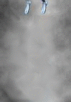 kill the frog (gif)
