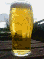 beer disapeargif