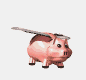 flying pig (gif)
