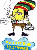 spongebob spliffpants (gif)