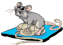 confused mouse (gif)