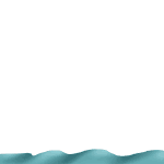 dolphin gif