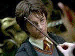 harrryp