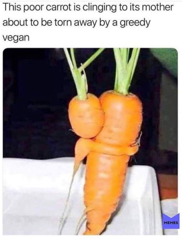 vegan foo