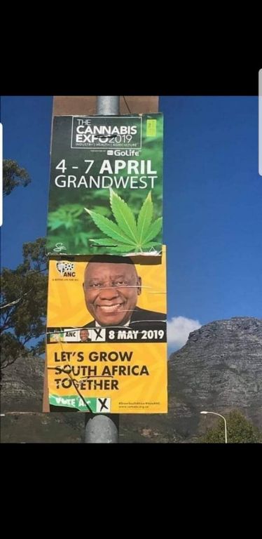 lets grow