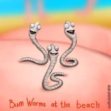 bum worm 