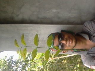 Rajib