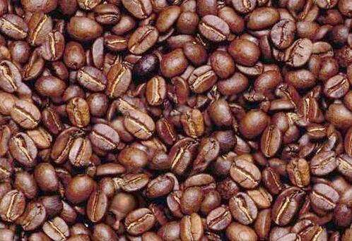 there is a man in the beans, please spot him , he is there