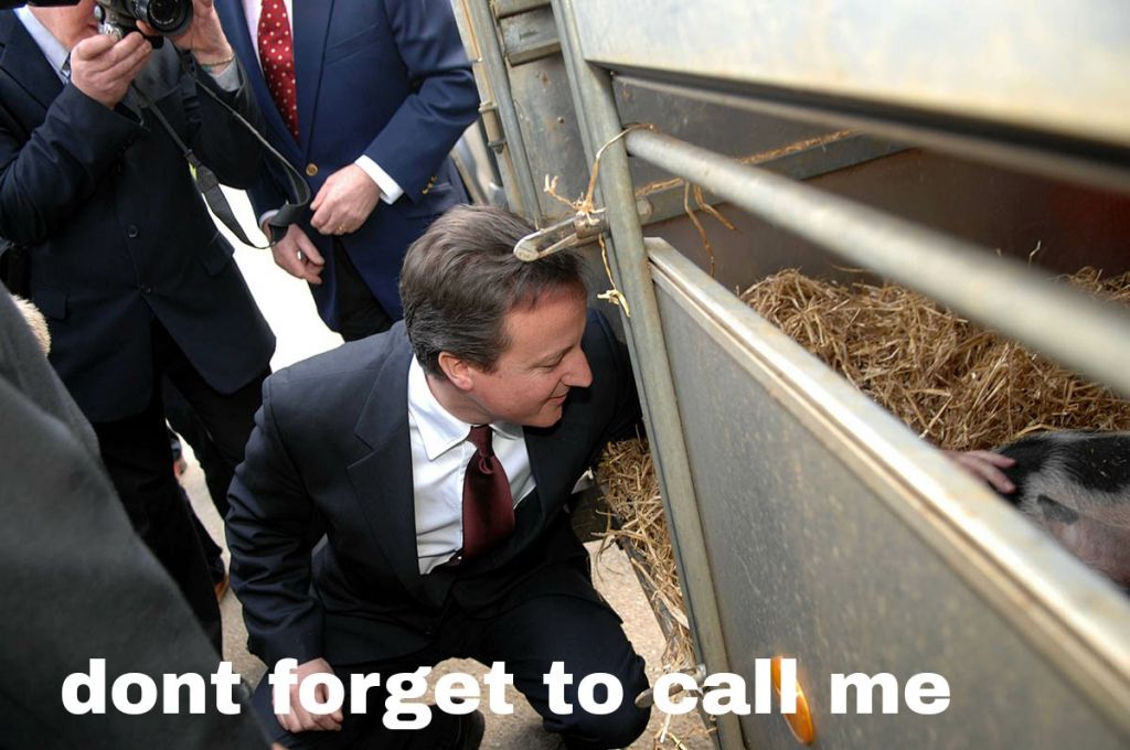 Porkies...