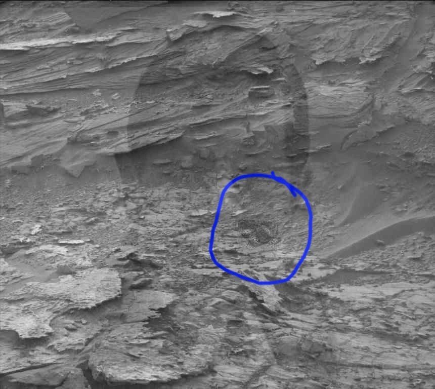mars